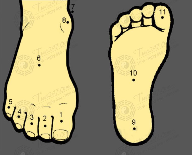 11 vị trí nốt ruồi thường gặp ở bàn chân