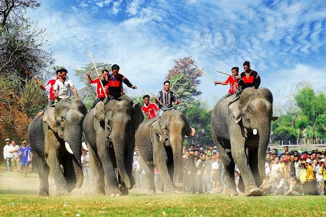 Lễ hội đua voi là một trong những lễ hội truyền thống đặc trưng của người dân Tây Nguyên